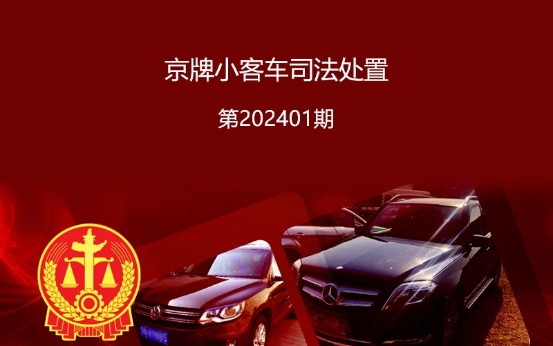 頂尖時(shí)代支持北交所2024年第一期京牌小客車(chē)司法拍賣(mài)